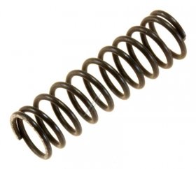 Spring - 10010610 Spring [Bosch Siemens]