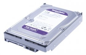 Western Digital S-ata Iii 3,5" Hard Discs - Wd Purple 1tb Sata 6gb-s Hdd 8 89cm 3 5zoll Internal 64mb Cache - WD11PURZ