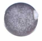 Magnet - 2980080200 C00875548 Magnet [Arcelik]